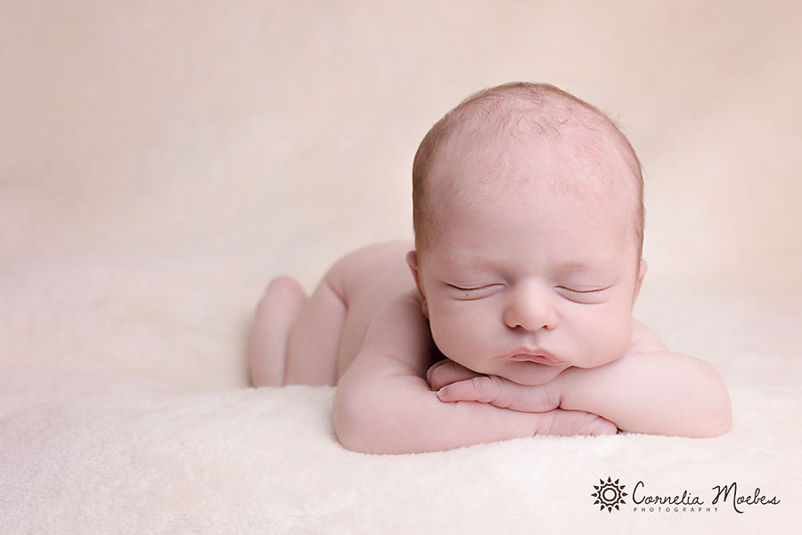 Neugeborenenfotos Babyfotografie Newborn Cornelia Moebes